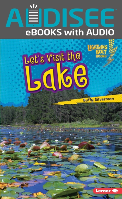 Let's Visit the Lake, EPUB eBook