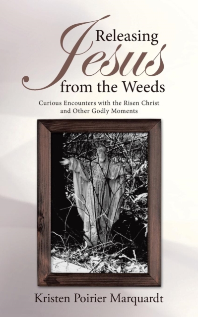 Releasing Jesus from the Weeds : Curious Encounters with the Risen Christ and Other Godly Moments, Paperback / softback Book