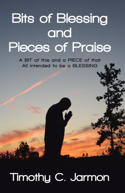 Bits of Blessing and Pieces of Praise : A Bit of This and a Piece of That  All Intended to Be a  Blessing, EPUB eBook