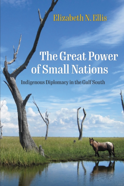 The Great Power of Small Nations : Indigenous Diplomacy in the Gulf South, Hardback Book
