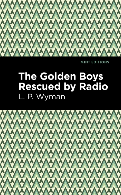 The Golden Boys Rescued by Radio, Hardback Book