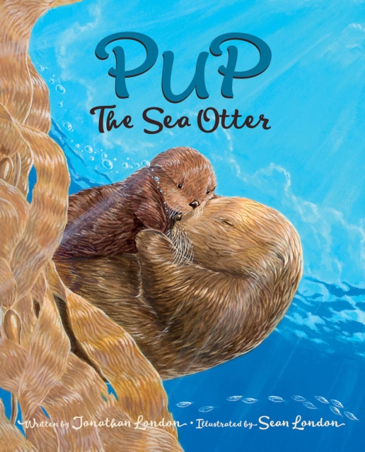 Pup the Sea Otter, Paperback / softback Book