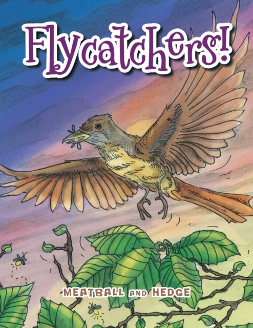 Flycatchers!, Paperback / softback Book