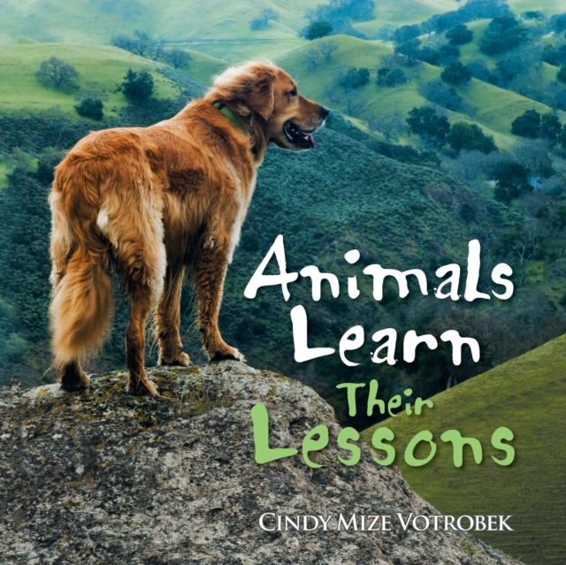 Animals Learn Their Lessons, Paperback / softback Book
