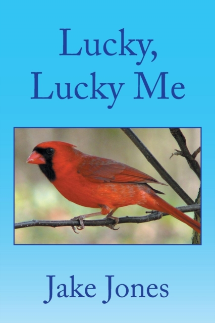 Lucky, Lucky Me, Paperback / softback Book