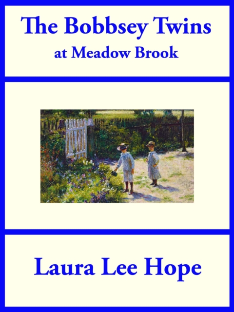 The Bobbsey Twins at Meadow Brook, EPUB eBook