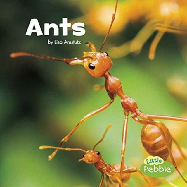 Ants (Little Critters), Paperback / softback Book