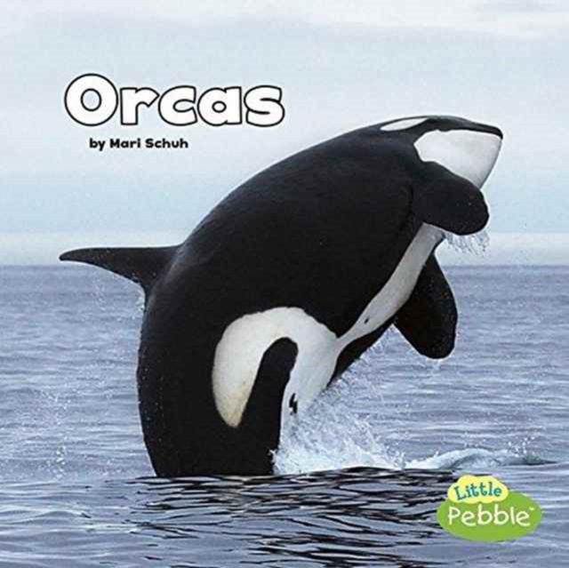 Orcas (Black and White Animals), Paperback / softback Book