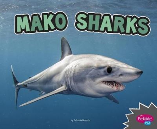 Mako Sharks (All About Sharks), Paperback / softback Book