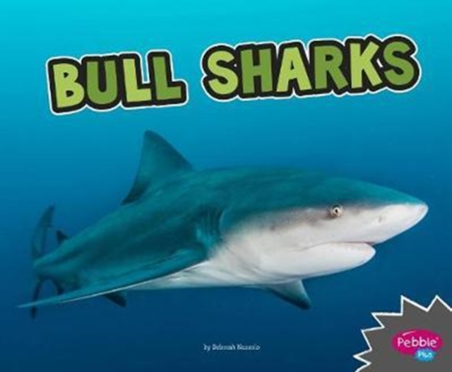 Bull Sharks (All About Sharks), Paperback / softback Book