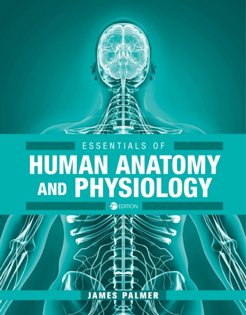 Essentials of Human Anatomy and Physiology, Paperback / softback Book