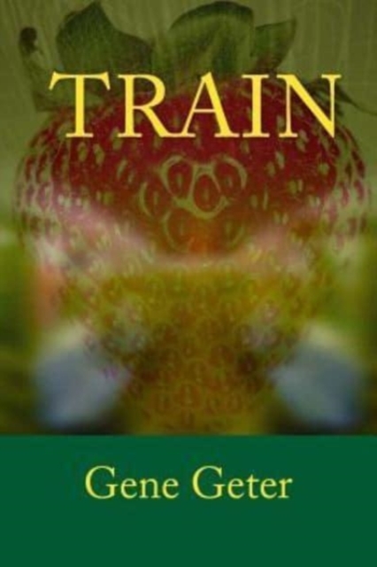 Train, Paperback / softback Book