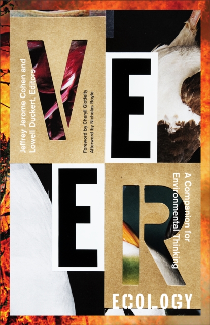 Veer Ecology : A Companion for Environmental Thinking, Paperback / softback Book