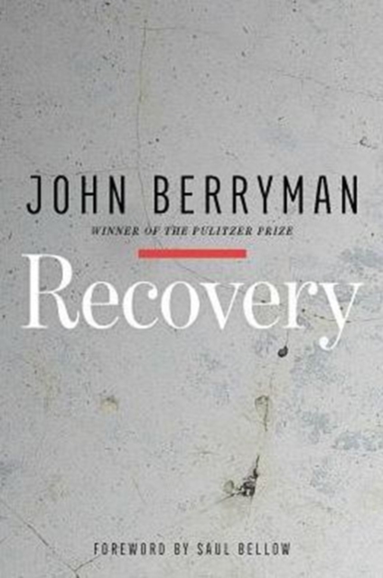 Recovery, Paperback Book