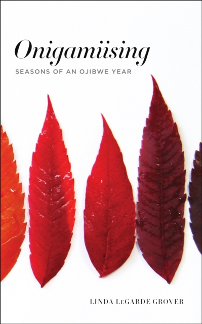 Onigamiising : Seasons of an Ojibwe Year, Paperback / softback Book