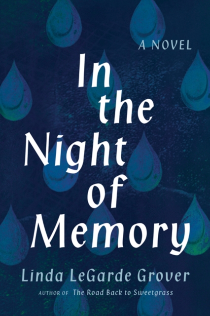 In the Night of Memory : A Novel, Paperback / softback Book