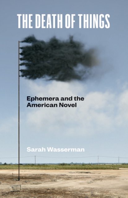 The Death of Things : Ephemera and the American Novel, Hardback Book