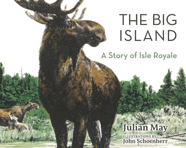 The Big Island : A Story of Isle Royale, Hardback Book