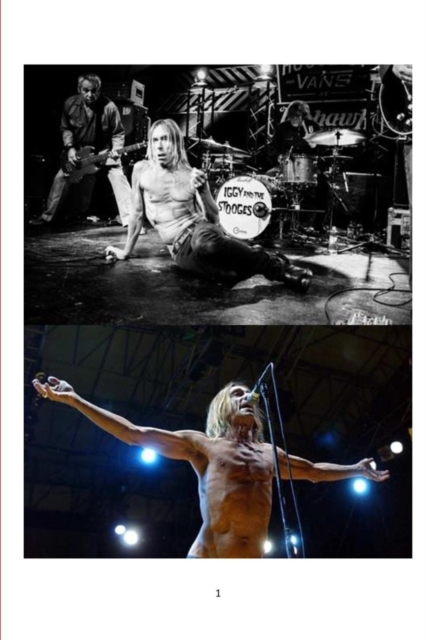 Iggy and the Stooges, Paperback / softback Book