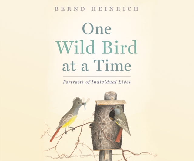 One Wild Bird at a Time, eAudiobook MP3 eaudioBook
