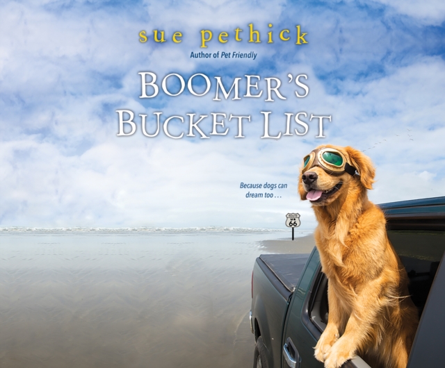 Boomer's Bucket List, eAudiobook MP3 eaudioBook