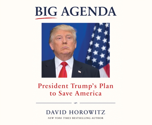 Big Agenda, eAudiobook MP3 eaudioBook