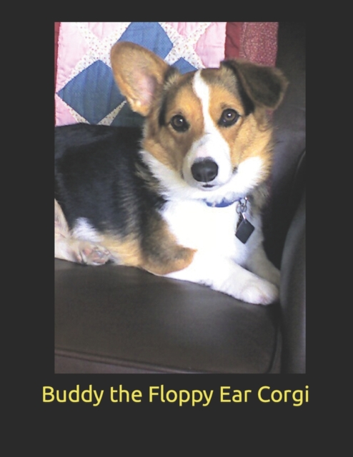 Buddy The Floppy Ear Corgi, Paperback / softback Book