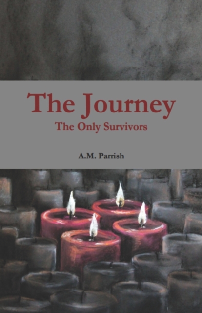 The Journey The Only Survivors, Paperback / softback Book