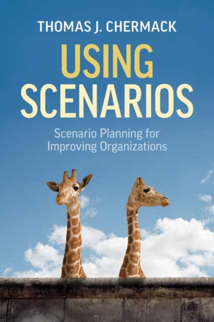 Using Scenarios : Scenario Planning for Improving Organizations, Paperback / softback Book