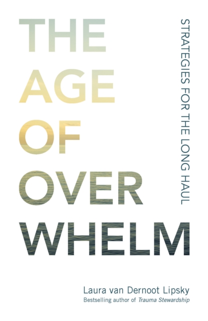 The Age of Overwhelm : Strategies for the Long Haul, Paperback / softback Book
