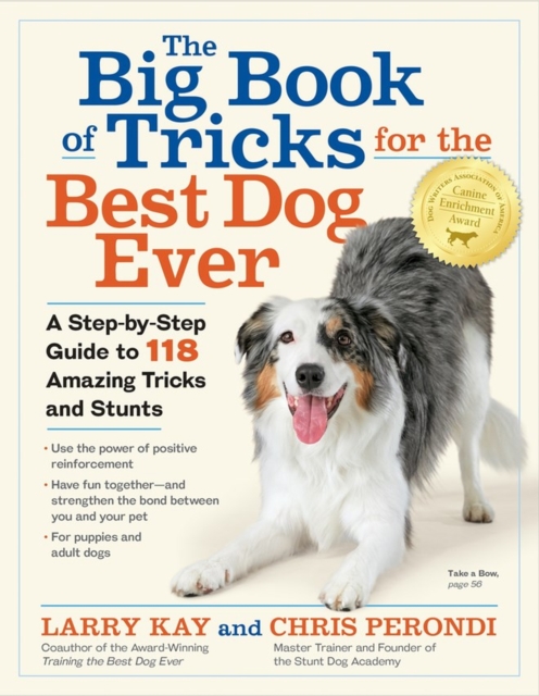 The Big Book of Tricks for the Best Dog Ever : A Step-by-Step Guide to 118 Amazing Tricks and Stunts, Paperback / softback Book