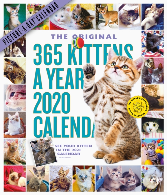 2020 365 Kittens-A-Year Picture-A-Day Calendar, Calendar Book