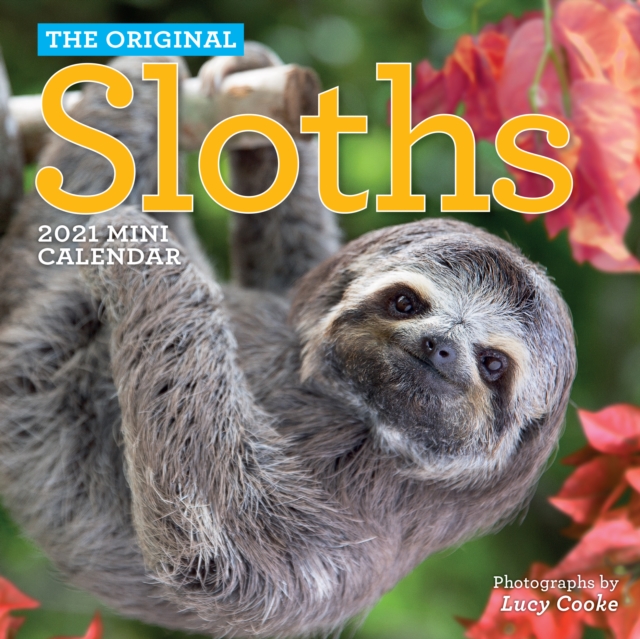 2021 Sloth Mini Wall Calendar, Calendar Book