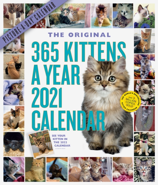 2021 365 Kittens-A-Year Picture-A-Day Wall Calendar, Calendar Book