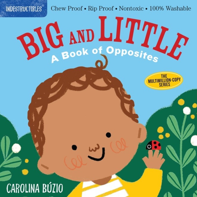 Indestructibles: Big and Little: A Book of Opposites : Chew Proof · Rip Proof · Nontoxic · 100% Washable (Book for Babies, Newborn Books, Safe to Chew), Paperback / softback Book