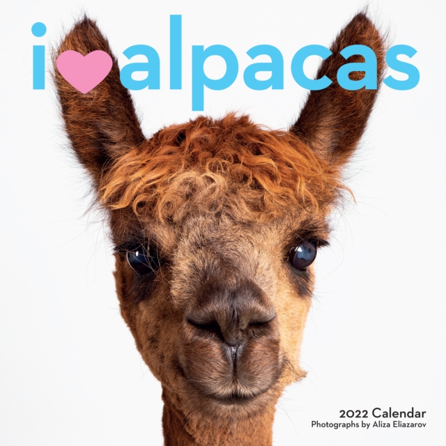 2022 I (Love) Alpacas Wall Calendar, Calendar Book