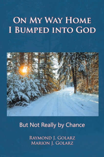 On My Way Home I Bumped into God : But Not Really by Chance, EPUB eBook