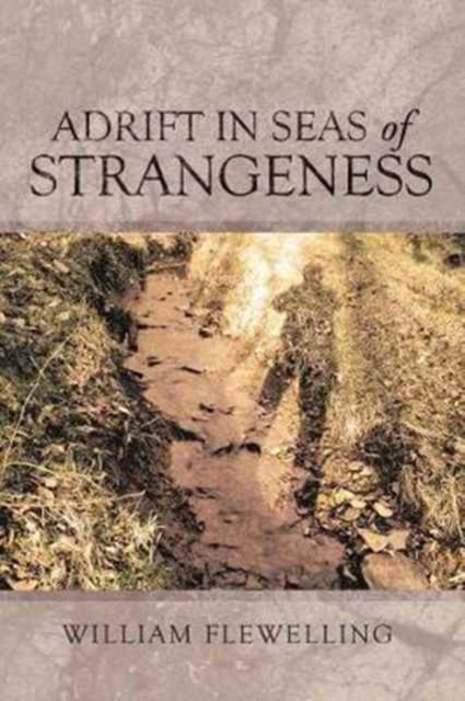 Adrift in Seas of Strangeness, Paperback / softback Book