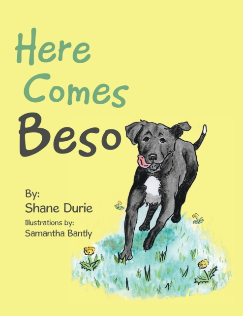 Here Comes Beso, EPUB eBook