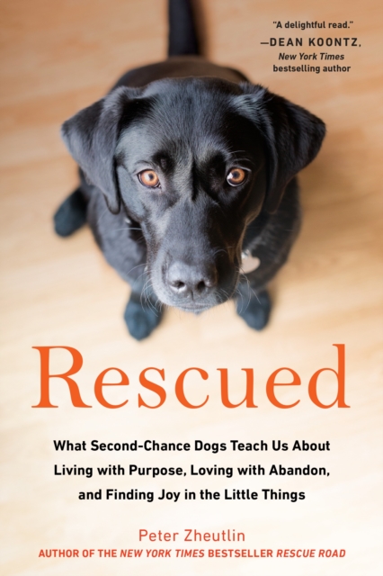 Rescued, EPUB eBook