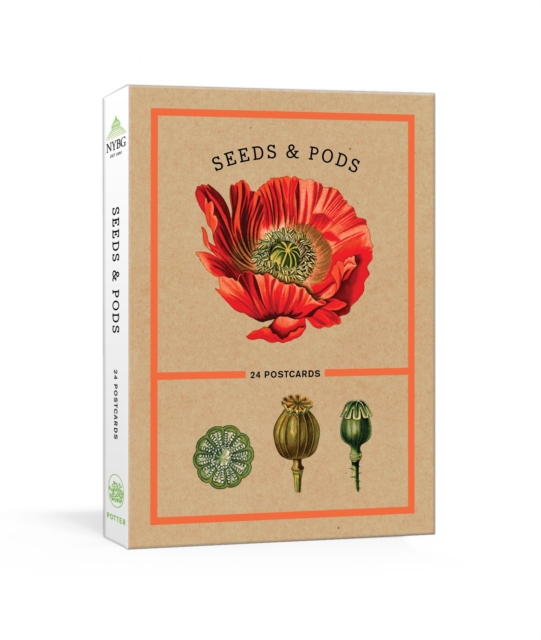 Seeds and Pods : 24 Postcards, Postcard book or pack Book