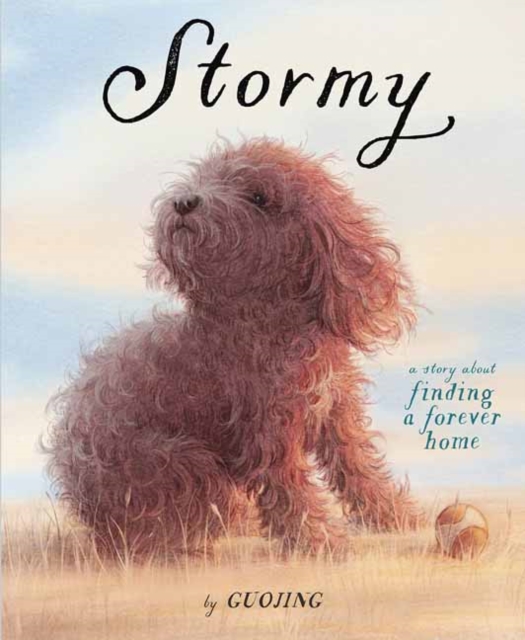 Stormy : A Story About Finding a Forever Home, Hardback Book