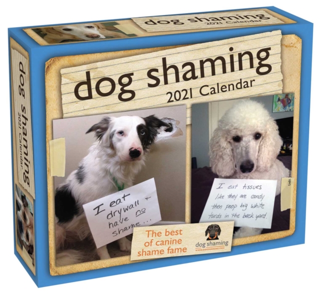 Dog Shaming 2021 Day-to-Day Calendar, Calendar Book