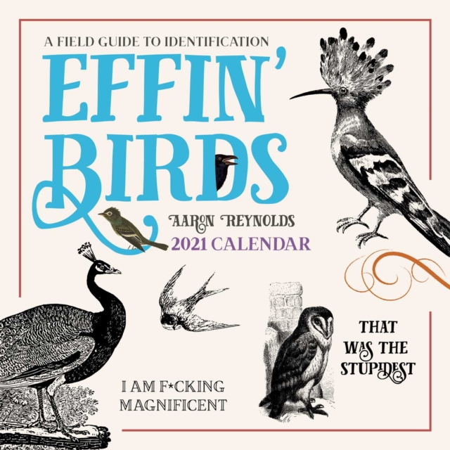 Effin' Birds 2021 Wall Calendar : A Field Guide to Identification, Calendar Book