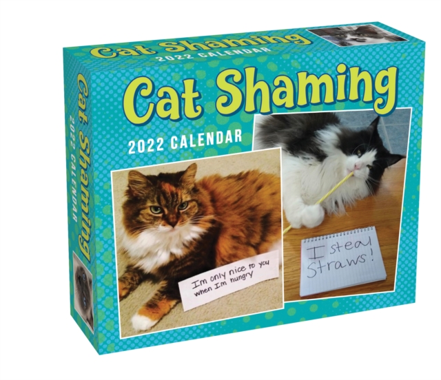 Cat Shaming 2022 Day-to-Day Calendar, Calendar Book