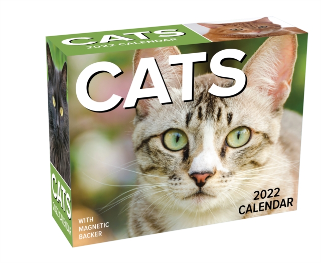 Cats 2022 Mini Day-to-Day Calendar, Calendar Book