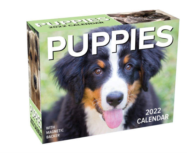 Puppies 2022 Mini Day-to-Day Calendar, Calendar Book