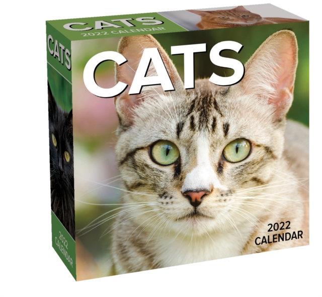 Cats 2022 Day-to-Day Calendar, Calendar Book