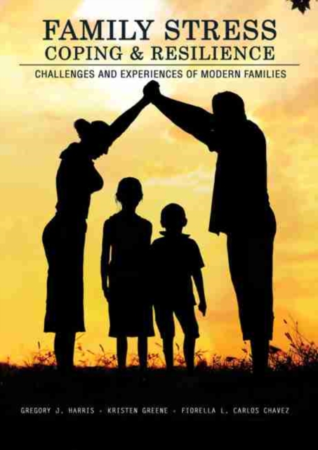 Family Stress, Coping, and Resilience: Challenges and Experiences of Modern Families, Paperback / softback Book