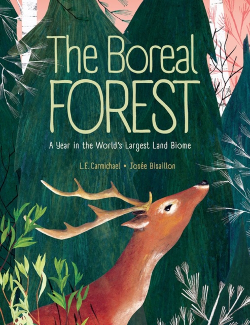 The Boreal Forest : A Year in the World's Largest Land Biome, Hardback Book